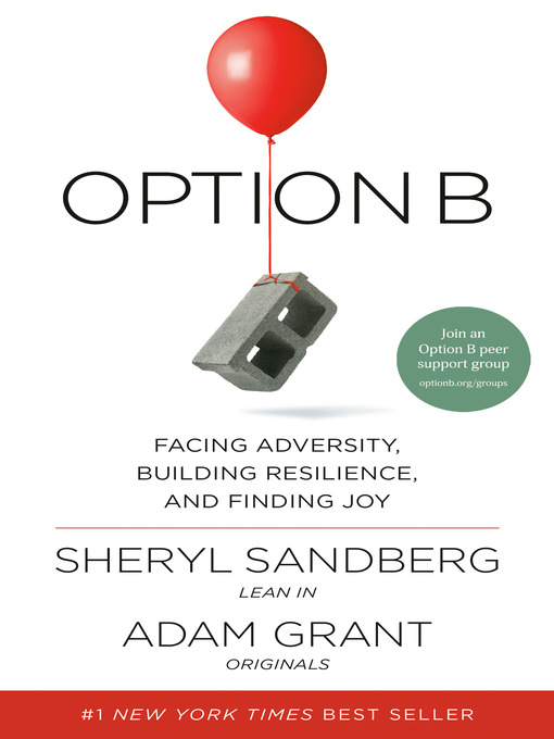 Cover image for Option B